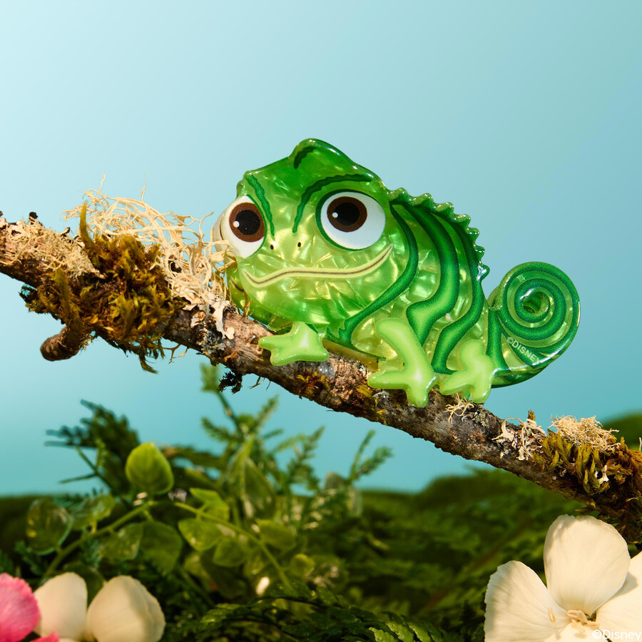 fermaglio per capelli tangled pascal