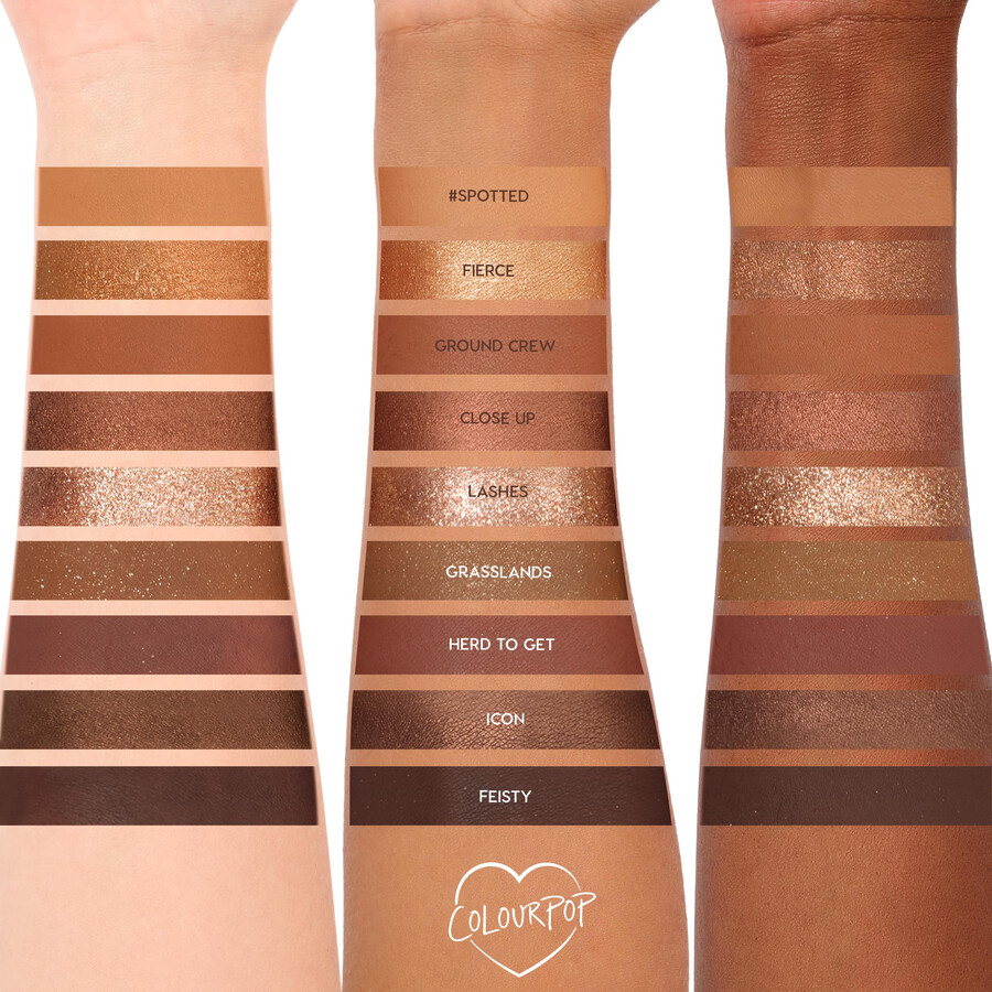 palette a 9 riquadri